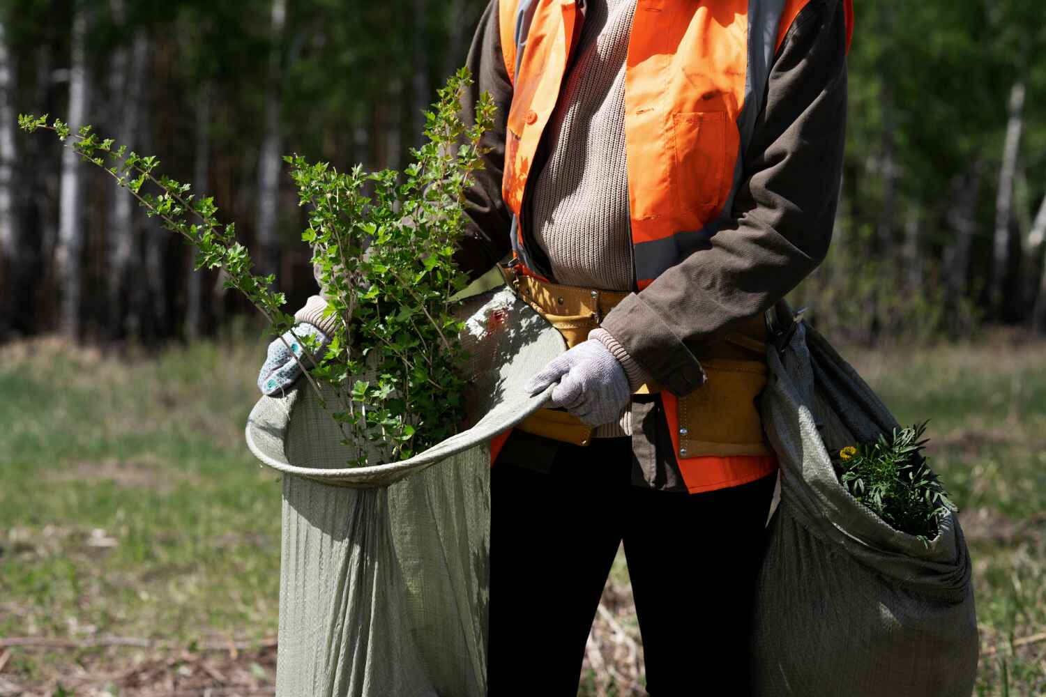 Best Large Tree Removal  in Gulf Breeze, FL